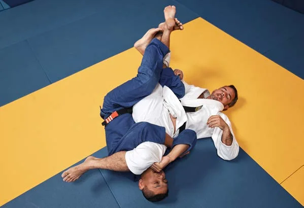 Tecniche di sottomissione che forzano l'apertura dell'inguine - Poster Technical Fouls & Illegal Moves della IBJJF