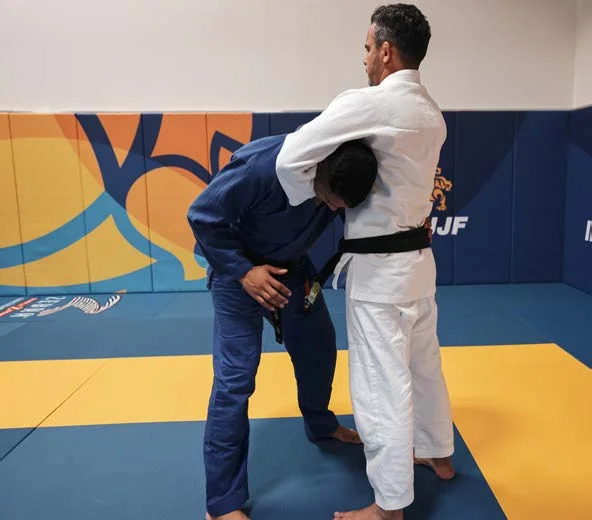 Ghigliottina frontale - Poster Technical Fouls & Illegal Moves della IBJJF