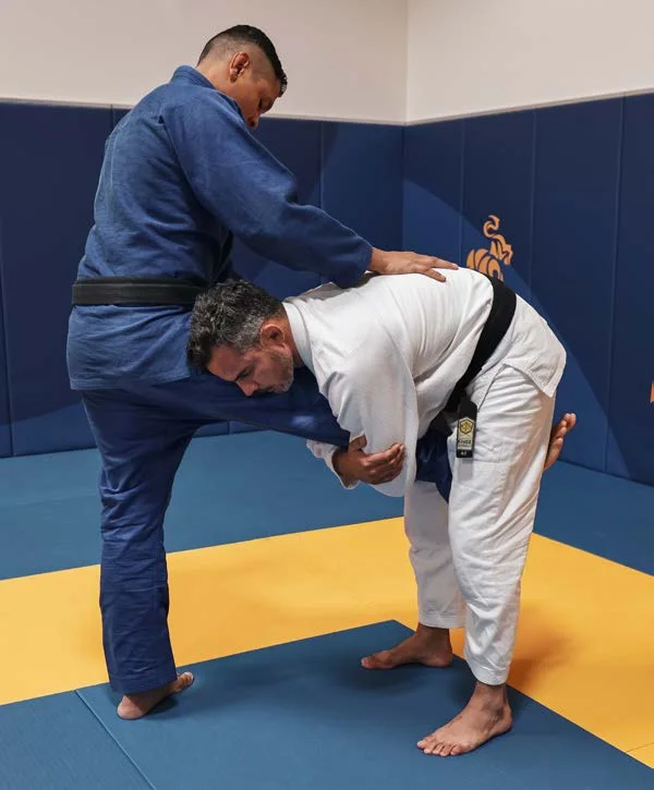 Atterramento single leg con la testa dell'attaccante all'esterno - Poster Technical Fouls & Illegal Moves della IBJJF