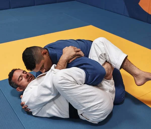 Compressione del bicipite (bicep slicer) - Poster Technical Fouls & Illegal Moves della IBJJF
