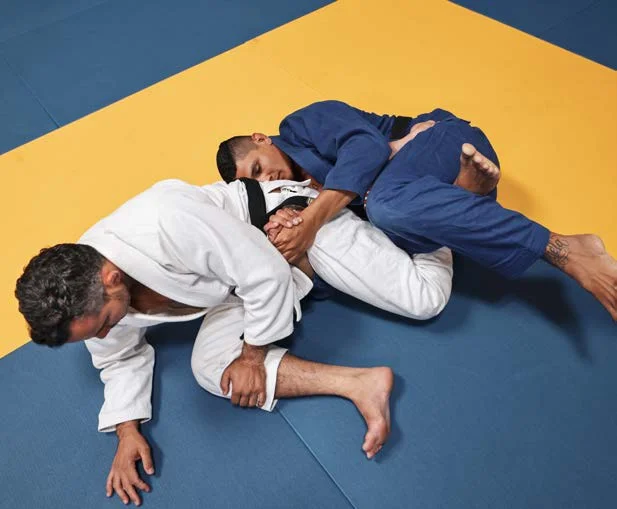 Compressione del polpaccio (calf slicer) - Poster Technical Fouls & Illegal Moves della IBJJF