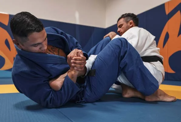 Heel hook (leva al tallone) - Poster Technical Fouls & Illegal Moves della IBJJF