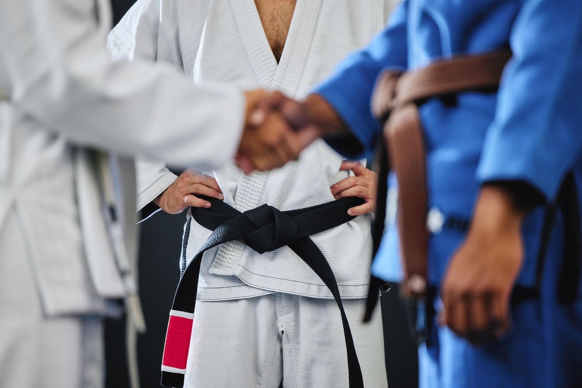 Brazilian Jiu-Jitsu academy with mats and students training