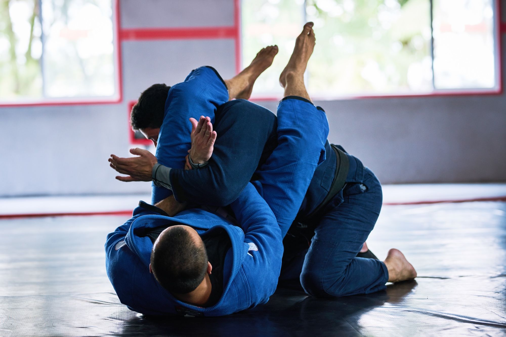 Comparação dos melhores softwares de gestão para academias de BJJ